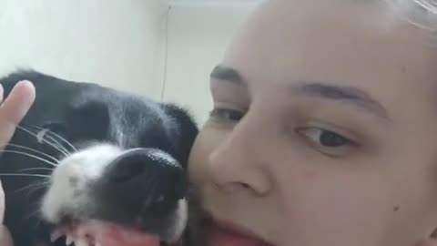 Kiss with a dog gone wrong