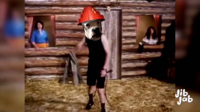 WHIP IT-DEVO