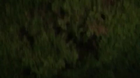 Black shirt black underwear balcony jump into bush