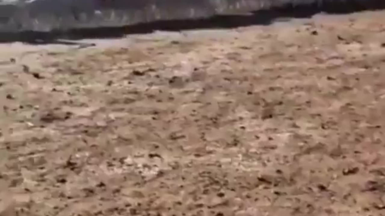 Hundreds of sheep have been walking in circles for 12 days in Mongolia.