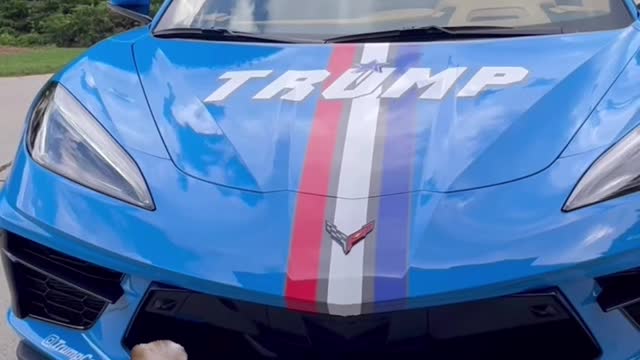 @TrumpCorvette permanently banned on TikTok after ZERO violations