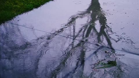 Raindrops falling to the ground