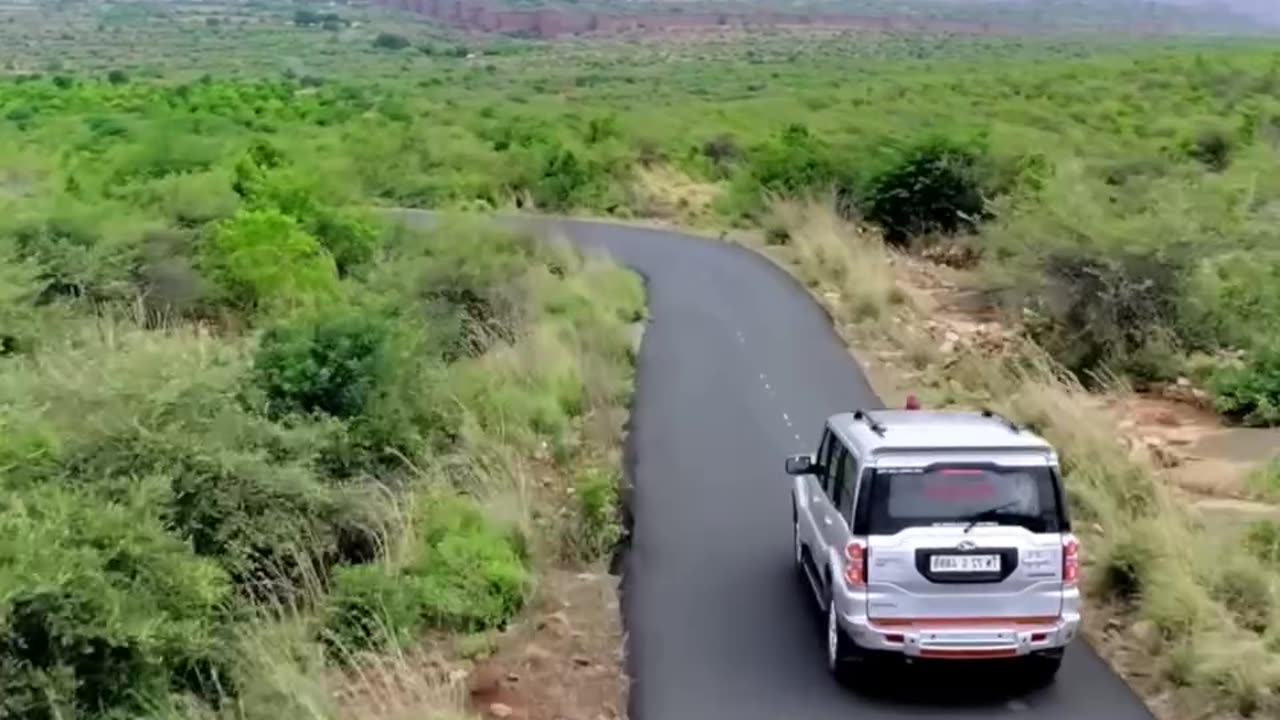 South movie