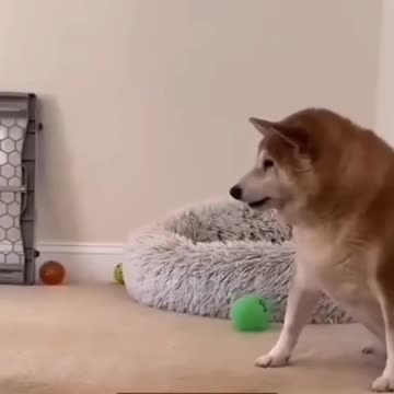 This is crazy to watch.