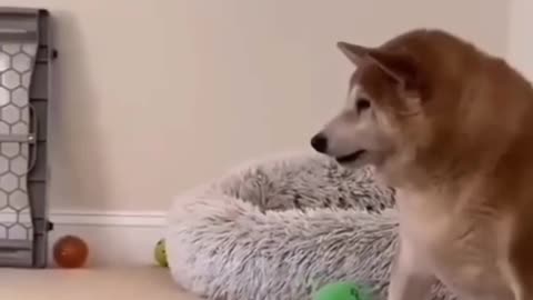 This is crazy to watch.