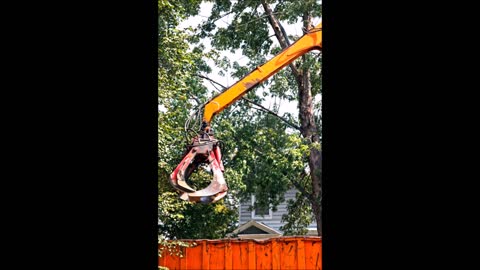 King Tree Service - (512) 229-1984