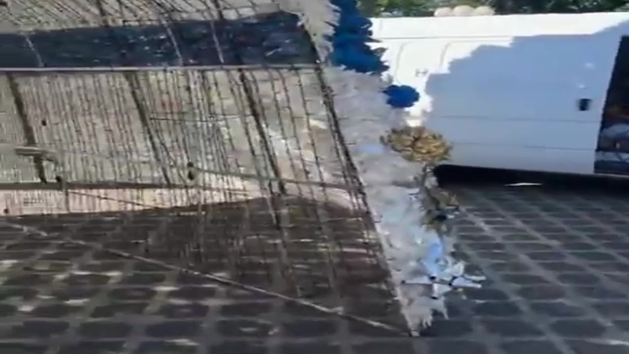 Navidad Mágica en Tacuarembó - Se encienden luces del gran árbol hecho con botellas plásticas