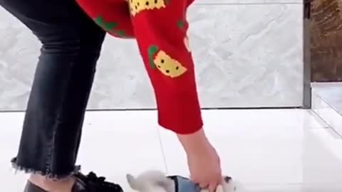 Fanny cute