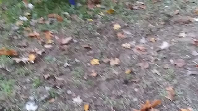 Almost lost my arm.