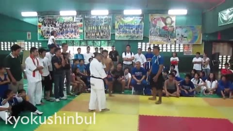 Kyokushin Karate vs Muay Thai