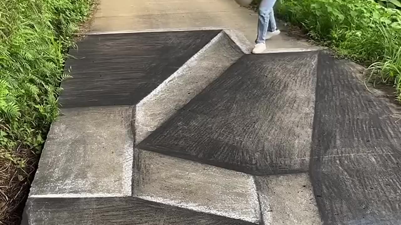 🤯 DOG FALLS FOR ILLUSION 🤯