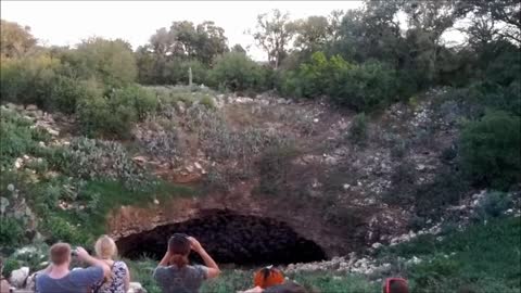 Millions of bats exiting cave in Texas