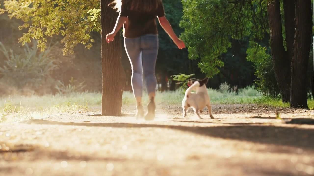 Attractive young woman running with dog jack russel terrier in park during beautiful sunset