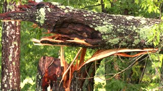 06-13-21 Scott County, KY Flooding & Trees Down