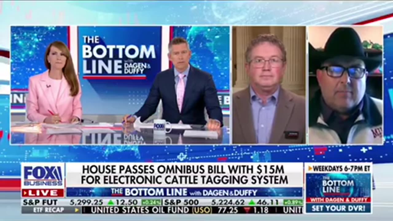 They Want To Ban Cattle