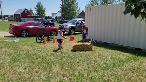 Roping the steer 03