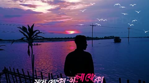 যাও পাখি বল তারে❤️