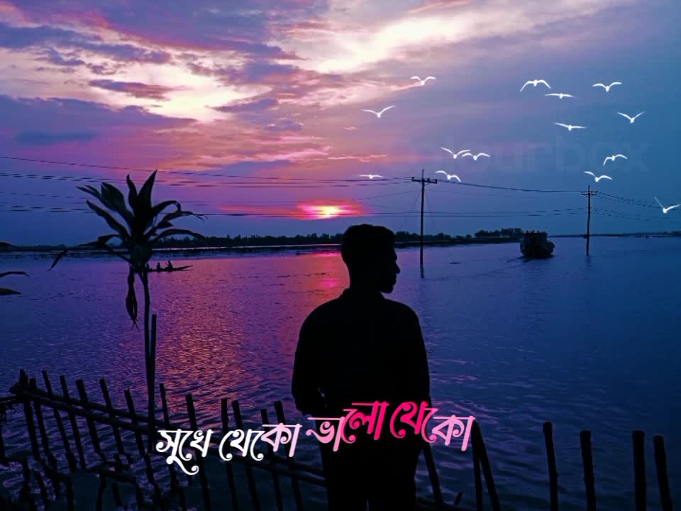 যাও পাখি বল তারে❤️