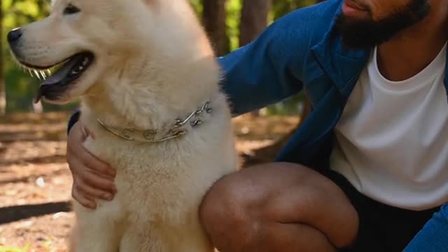 My brother is playing with dog.