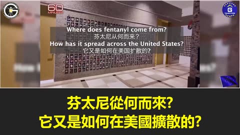 【粵語配音】中共製造的芬太尼危機每周奪走22名美國青少年的生命！