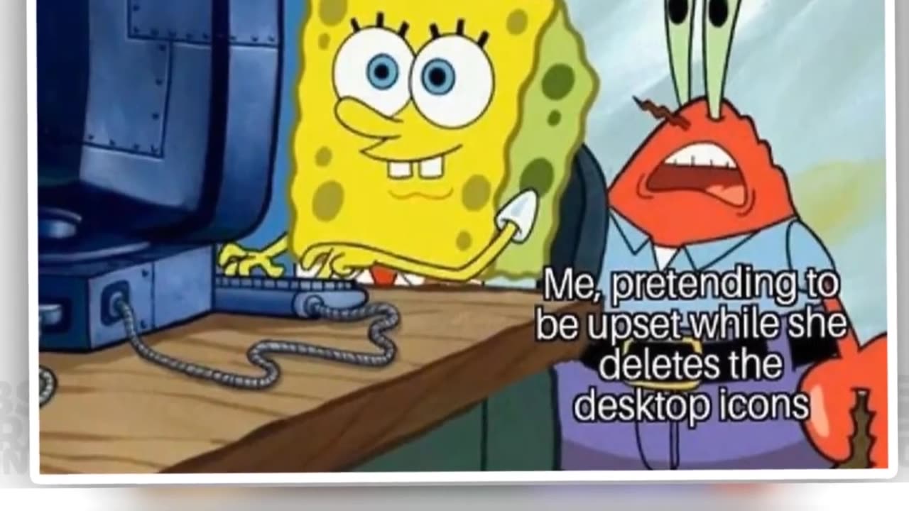 funny video