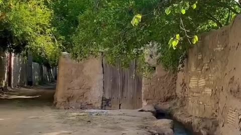 Village life
