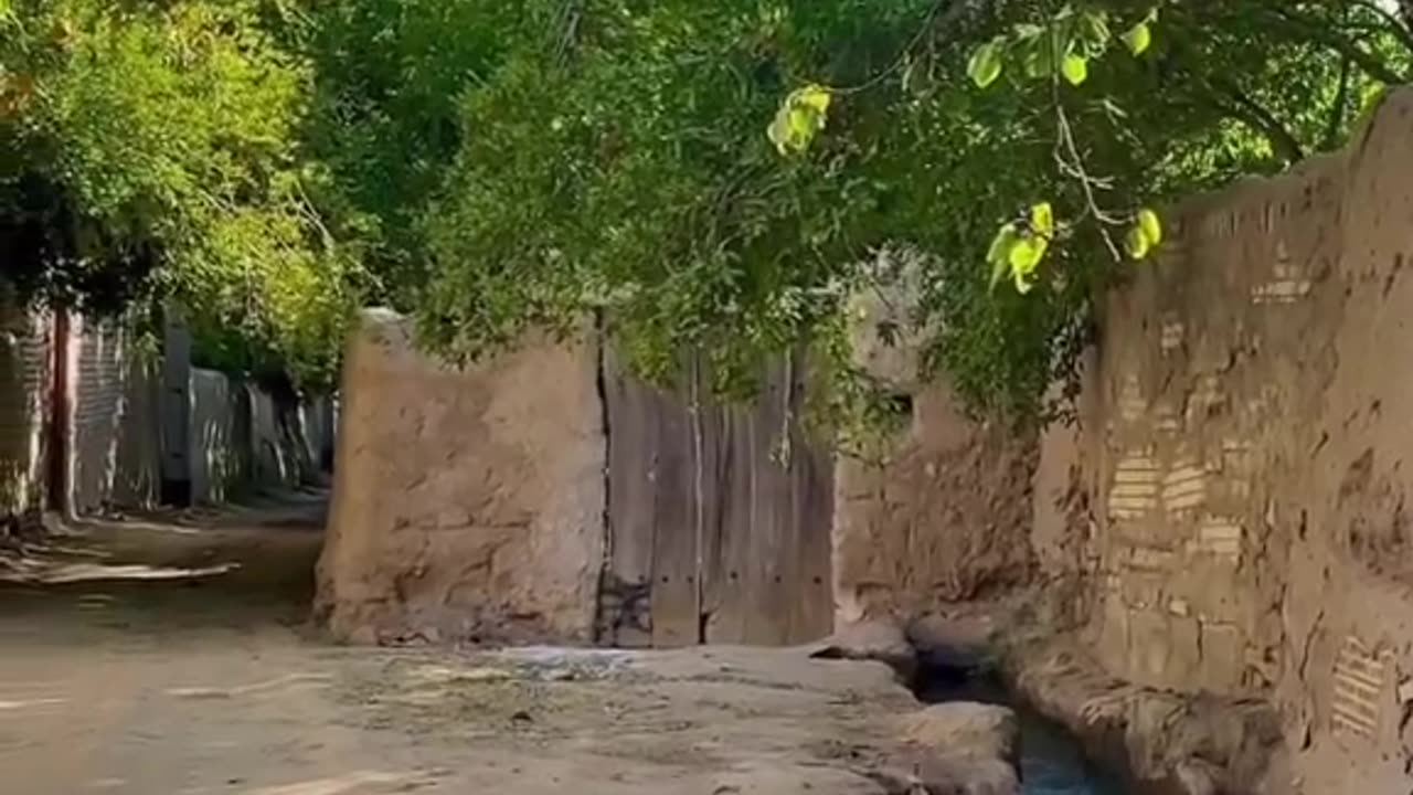 Village life