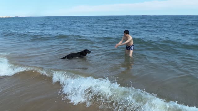 My son named Dindang is playing by the sea, a black Labrador