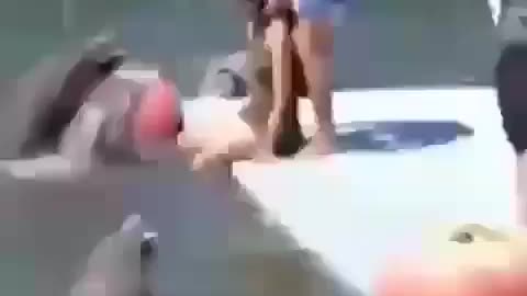Poor woman😂😂😂