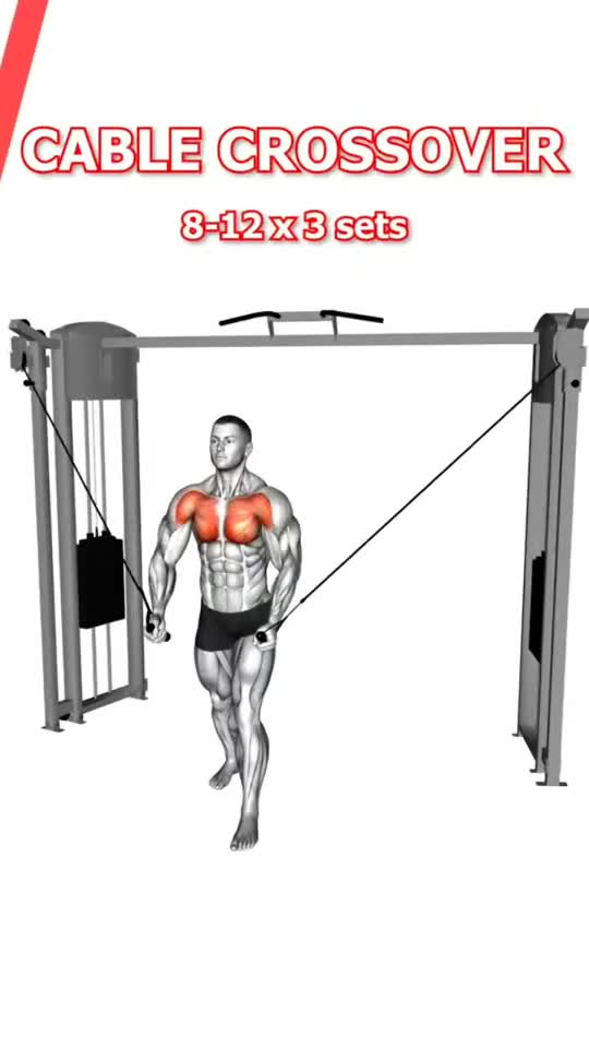 Basic Chest Workout Exercises For Muscle Growth And Strength