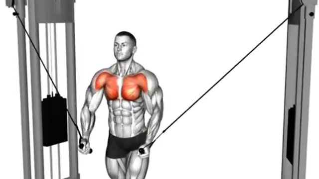 Basic Chest Workout Exercises For Muscle Growth And Strength