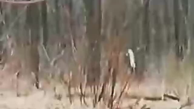 Ukraine War - Russian soldiers surrender