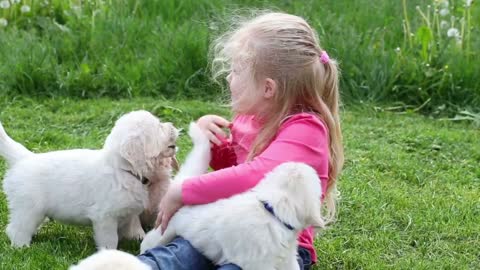 Beautiful little girl playing with a puppy in nature