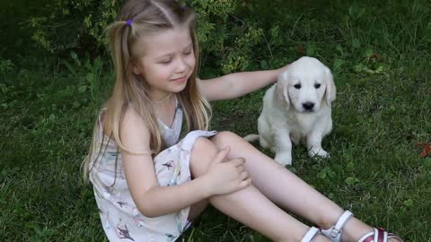 Beautiful little girl playing with the puppies in nature