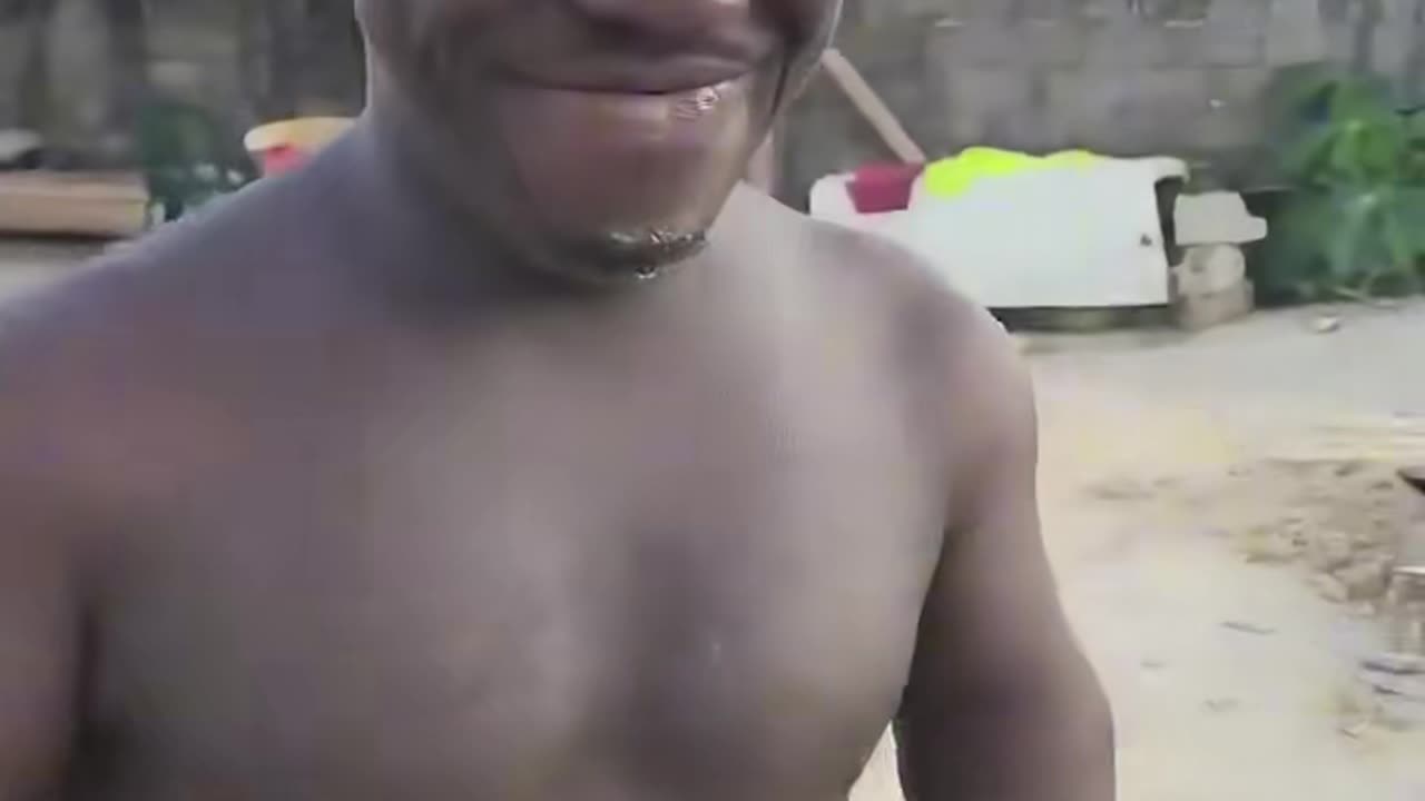 Funny Videos 2024