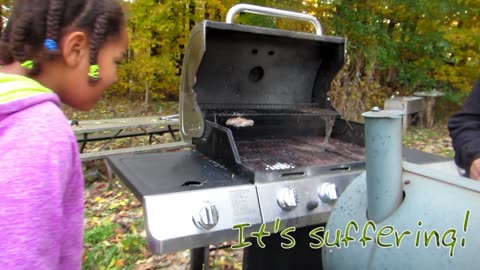 Wasps In An Old Grill - Ugh!