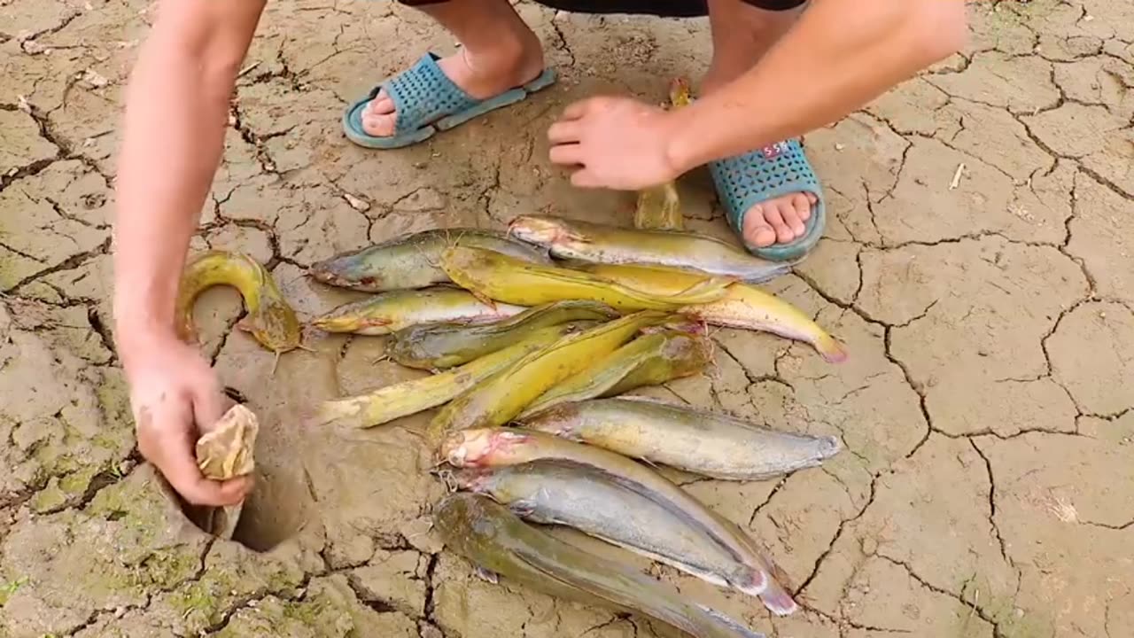 the amazing catch fishing part 2