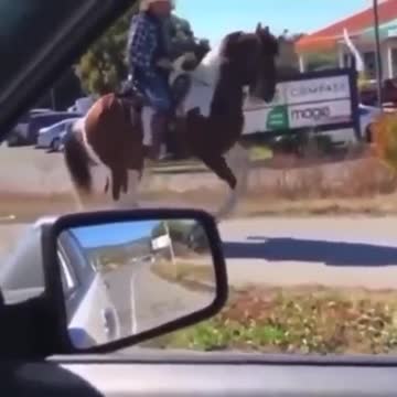 Absolutely love it! Lots of talent!!!❤️❤️