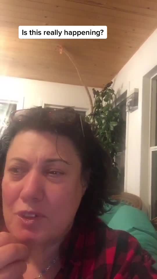 is this realy happening