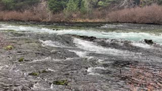 GORGEOUS Cascading River Section of Metolius River – Central Oregon