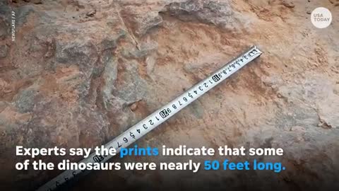 Unbelievable 4000+ Dinosaurs footprints uncovered in CHINA