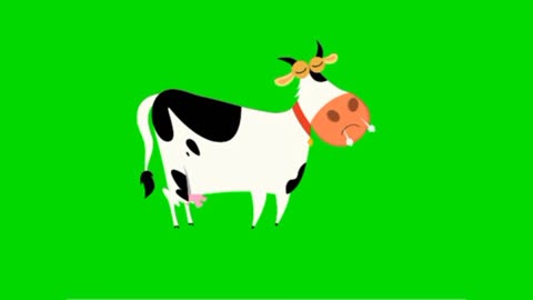 Cow angry green screen video