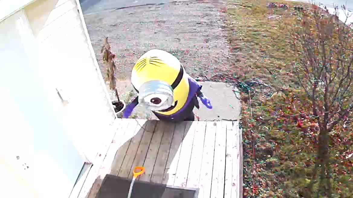 Wind Helps Minion Get on the Move