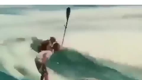 Dog human friendship