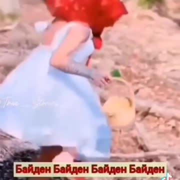 How would a hedgehog, dressed as Little Red Riding Hood, look