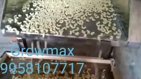 Growmax International: Best Macaroni Making Machine manufacturer in India .