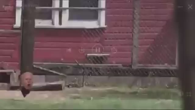 Love the faces this guy makes