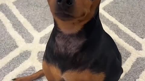 love you bruno