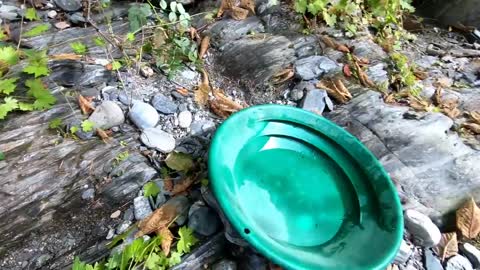 There Are Gold Nuggets Just Sitting On The Bedrock Here!