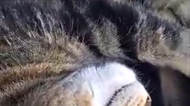 Sleeping deep